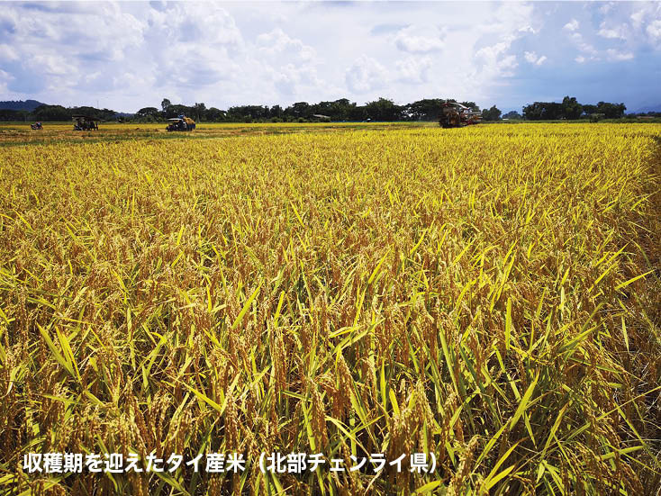 第80回 「減産に価格高騰、混乱続くタイのコメ産業」